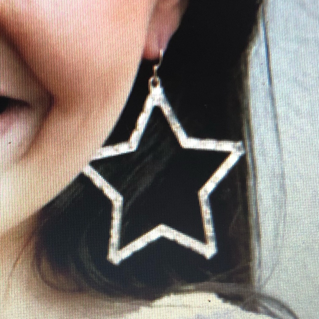 Beautiful Star Earrings Brand New